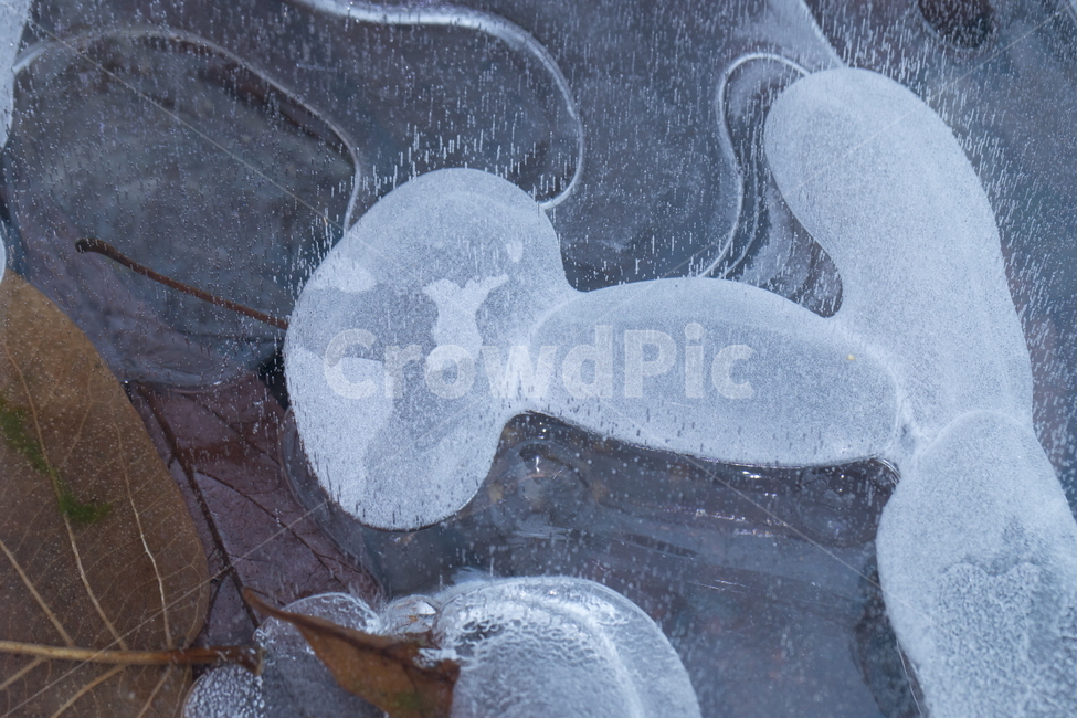 ice,아이스,얼음그림,겨울풍경,얼음,겨울그림,겨울,계절,winter,season,텍스처,질감,패턴,texture,pattern