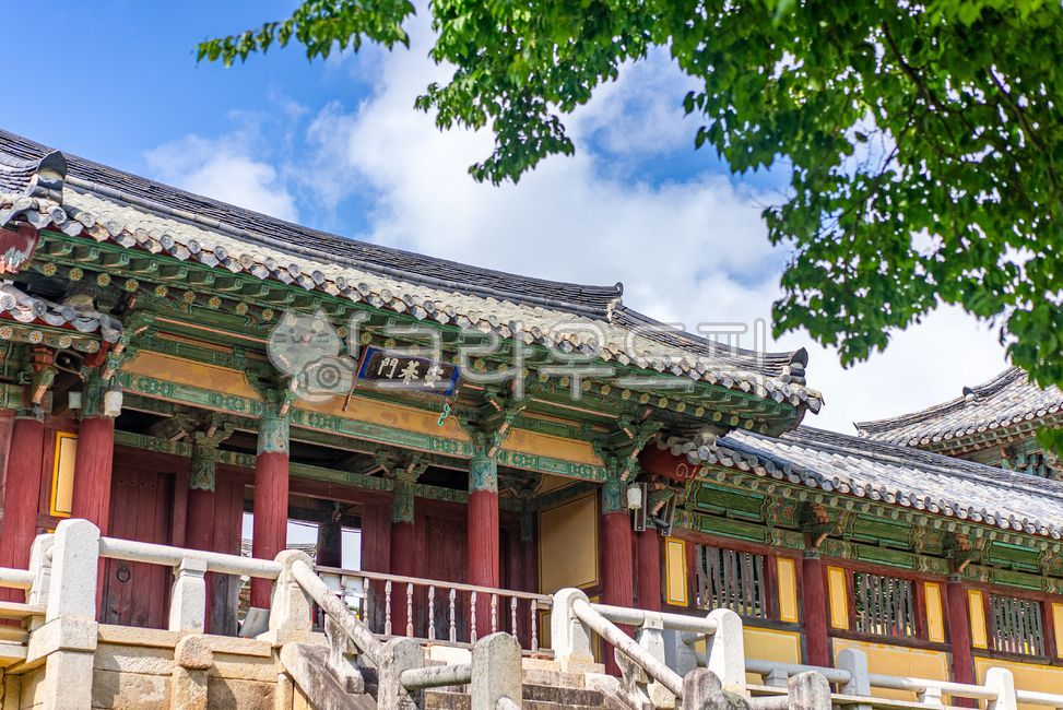 경주,불국사,한국,한국전통,한국문화,건축물,건축,랜드마크,사당,절,한국관광지,한국명소,한옥,자연,전경,기와,나무