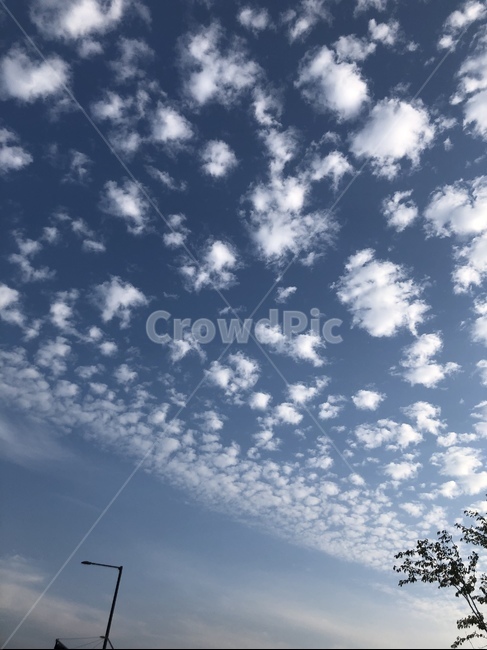 자연,구름,하늘,양떼구름,cloud