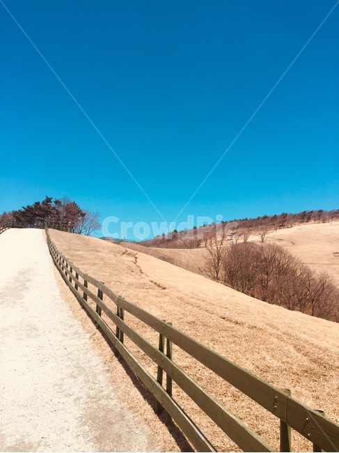 언덕,하늘,길,풍경,배경화면,나무,오솔길,자연,풍경,nature,landscape,soil,흙,outdoors,옥외,sand,모래,dune,모래 언덕