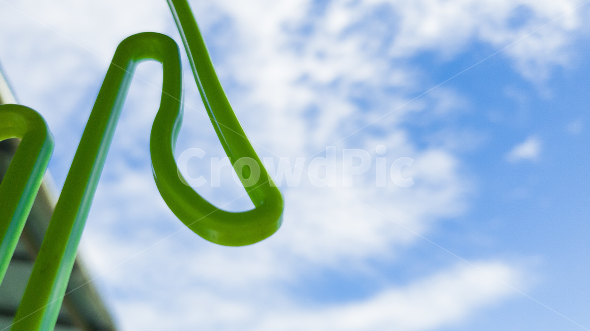 하늘,sunshine,맑음,sky,blue,green,자연,풍경