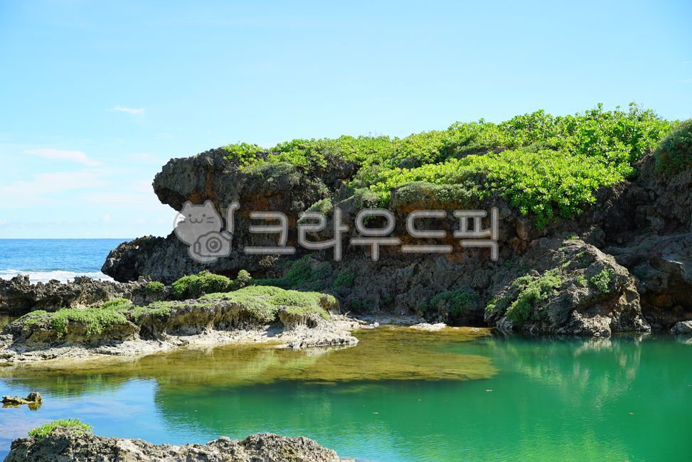 괌,휴양지,바다,인공수영장,연못,자연,이나라한,바위,식물