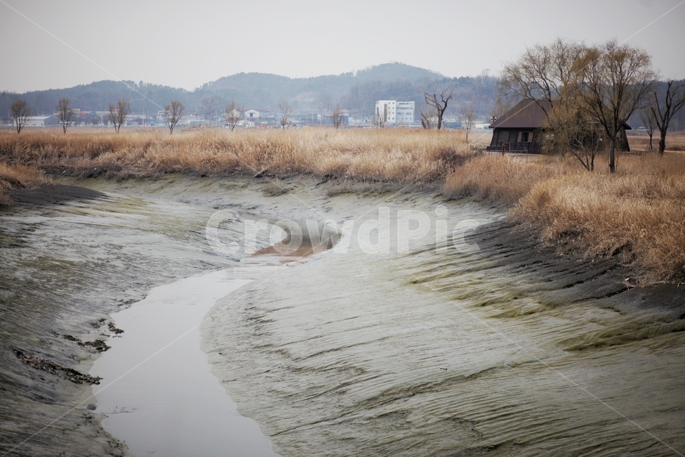 자연,nature,갯골,소금창고,갯벌,가을,계절,fall,autumn,season