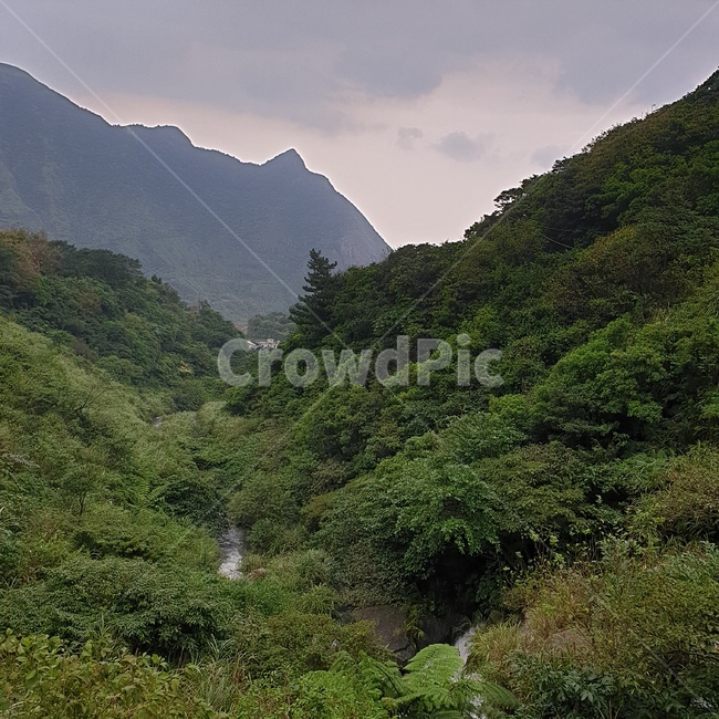 자연,풍경,나무,산,여름,자연,풍경,nature,landscape,outdoors,옥외,mountain