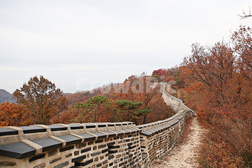 남한산성,성,성곽,단풍,낙엽,길,둘레길,숲,숲길,담,돌담,가을,자연,풍경,벽,울긋불긋,산성,식물,가을,계절,fall,autumn,season,한국전통,한국문화,korean traditional,korean culture,tree,나무,plant