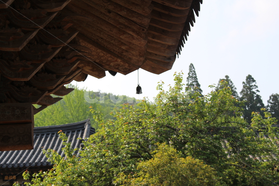 절,풍경,기와,감성,선암사,처마,한옥,여름,한국전통,한국문화,korean traditional,korean culture,건축물,건물외관,exterior,building,structure,architecture,construction