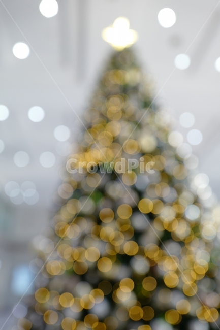 gift,Christmas,christmas tree,winter,faith,Santa,merrychristma,season,winterseasonreligion,belief,Jingle Bells,Merry Christmas,celebrate,tree,ribbon,Anniversary,christmas,Yearend,congrats,religion,celebration,congratulation,interior design,s interior,boke