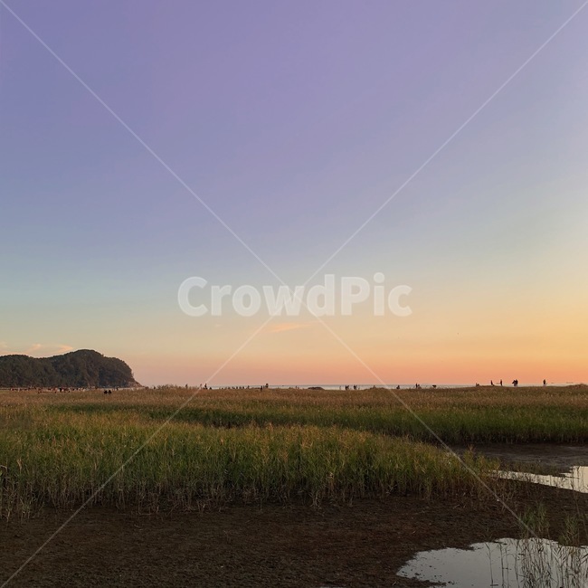 다대포해수욕장,노을,바다,자연,풍경,nature,outdoors