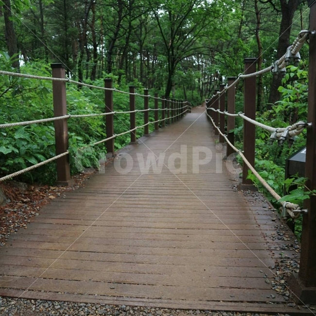 대크,길,비,여유,산책감성,자연,풍경,nature,landscape,boardwalk,산책로,bridge,다리,building,건물
