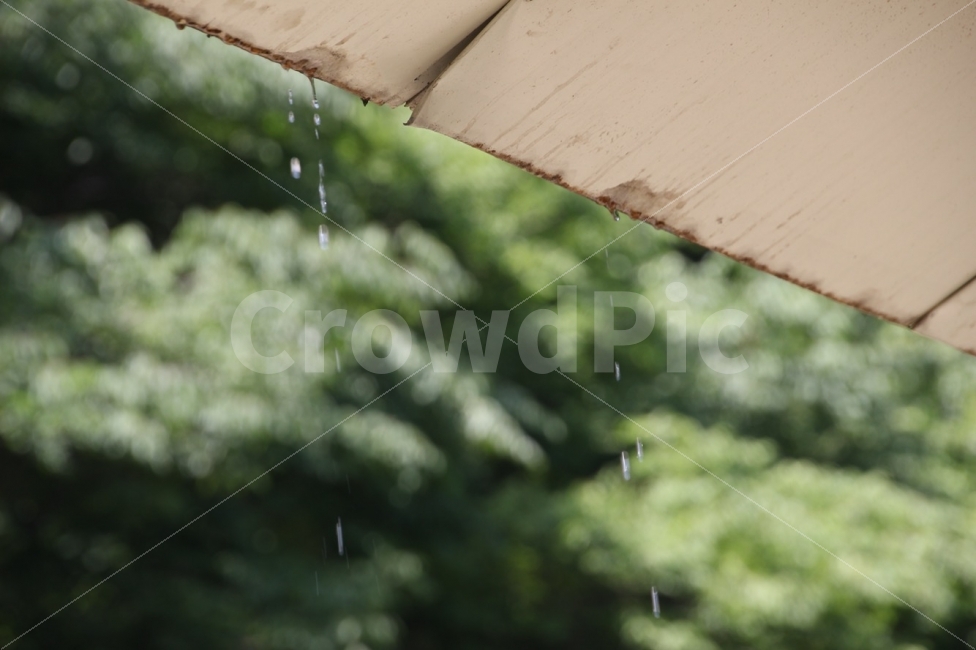 빗방울,물방울,산속,처마밑,또르르,비,비오는날,rain,rainy
