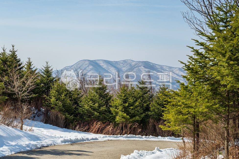 겨울산, 설경, 설산, 눈길, 겨울트레킹, 사진,이미지,일러스트,캘리그라피 - 천년향작가