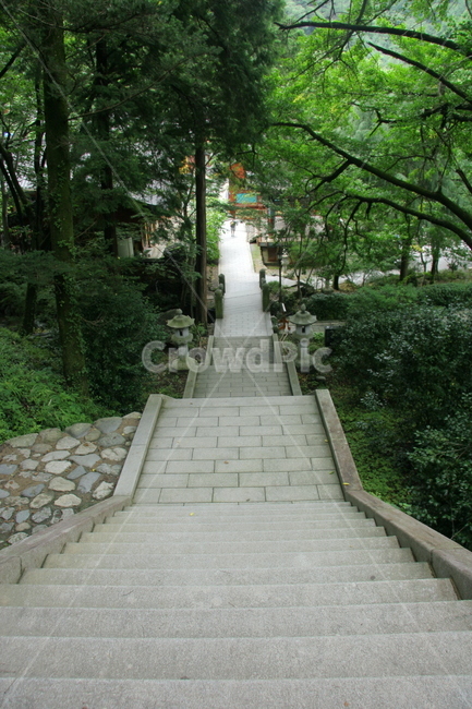 돌계단,대리석계단,사찰계단,계단,절,사찰,숲속계단,자연,풍경,nature,landscape,garden,정원,outdoors,옥외,arbour,정자