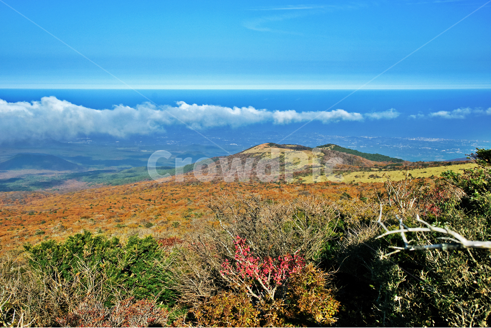 오름,한라산,영실코스,관목,구름,국립공원,제주도,가을,계절,제주도,jeju,jeju island,nature,자연,outdoors,옥외,hill,언덕