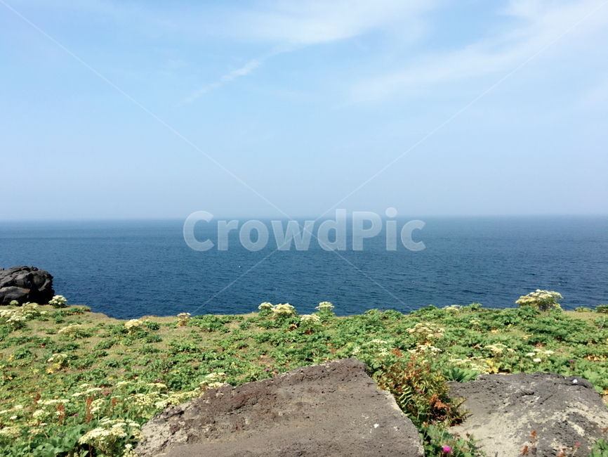초원,바다,지평선,구름,풍경,자연,풍경,nature,landscape,promontory,곶,ocean,대양,sea,outdoors,옥외,water,물,shoreline,해안선,land,땅