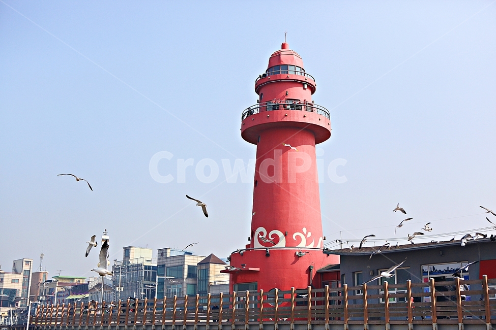 등대,갈매기,풍경,빨간등대,배경,자연,풍광,등대,lighthouse
