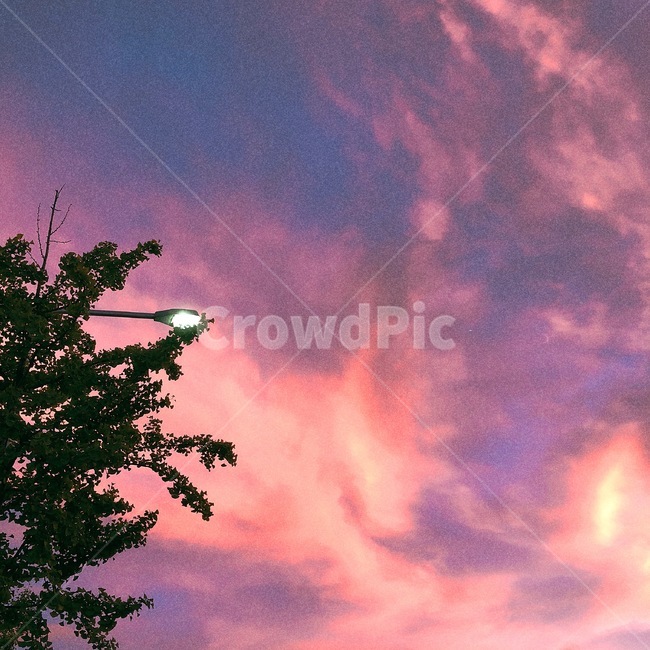 하늘,노을,분홍색,구름,가로등,필름,저녁노을,sky,film,나무,tree,빛,light,pink,자연,풍경,nature,landscape