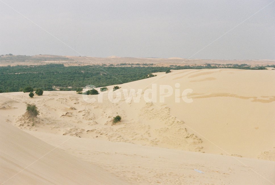 soil,흙,outdoors,옥외,sand,모래,nature,자연,dune,모래언덕,사막,desert,무이네,muine,베트남,vietnam,화이트샌듄,whitesand