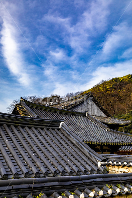 화엄사,문화유산,사찰,인간,봄,기와,풍경,지붕,roof,하늘,구름,전통건축물,한옥