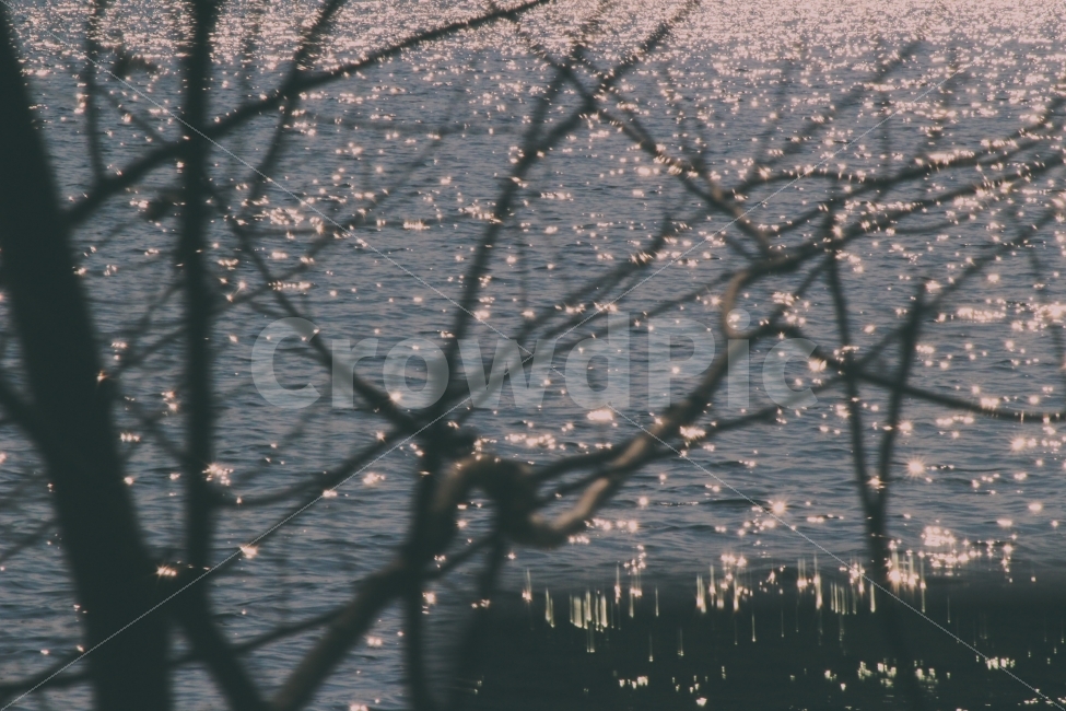 감성사진,윤슬,강물,마음,시간,흐름,여행,자연,풍경,nature,landscape,감성,sensible,feeling,휴식,힐링,rest,relaxation,healing,outdoors,옥외