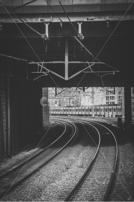 transportation,교통,traintrack,기찻길,rail,레일,railway,철도,흑백,모노톤,monochrome,black and white