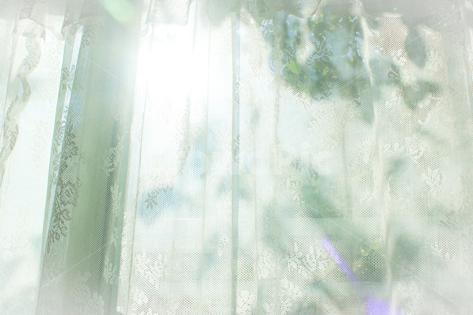 white,lace,레이스,빛,햇빛,햇살,light,shadow,커튼,레이스커튼,감성사진