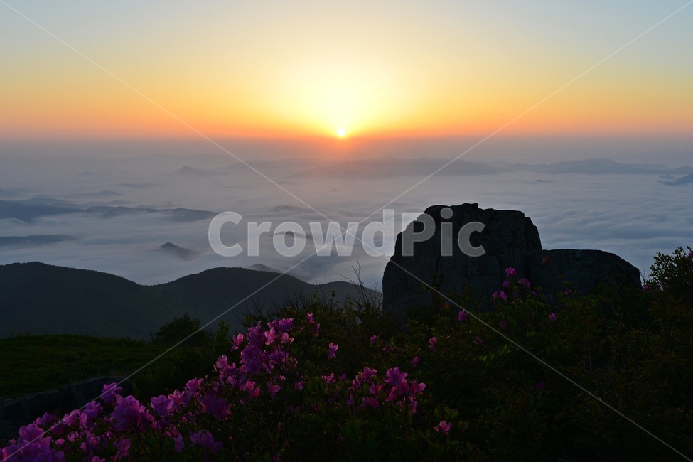 무등산,무등산철쭉,철쭉꽃,무등산일출,무등산아침,무등산운해,운해,light,빛,flare,플레어,nature,자연,outdoors,옥외,한국자연풍경,한국자연경관,korea nature landscape,새해,new year