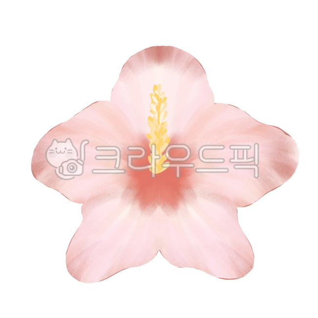 National holiday,love of country,national defense,permutation,Rose of Sharon,flower,national flower of the Republic of Korea,national flower