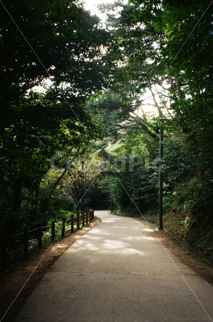 남한산성,산책로,걷기,산책,산속,길,필름,자연,풍경,nature,landscape,garden,정원,outdoors,옥외,arbour,정자