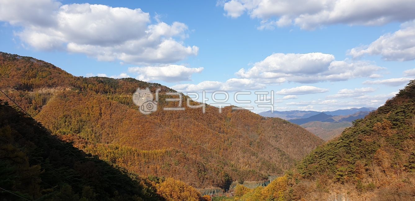 autumn, nature, beautiful, tree, background, 사진,이미지,일러스트,캘리그라피 ...