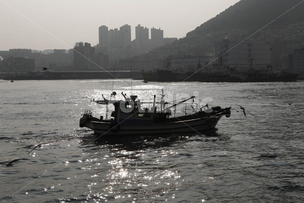 자갈치,바닷가,남포동,고깃배,배,공동어시장,고기잡이배,어선,영도,낚시,만선,바다,통통배,생선,노동,어부,잔잔,파도,부산,교통,교통수단,traffic,transportation