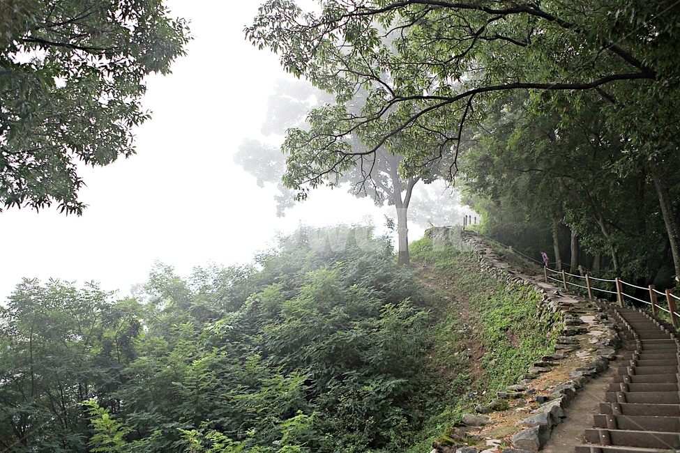 공주산성,산성,성,성곽,길,둘레길,숲,숲길,안개,돌담,여름,풍경,벽,방어벽,흙담,나무,식물,유네스코