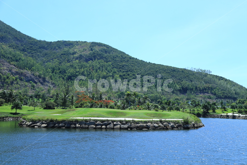nature,자연,물,water,plant,식물,tree,나무,골프,golf