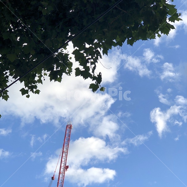 하늘,자연,구름,파랑,흰색,하늘색,나무,초록,여름,빨강,대비,sky,sora,nature,cloud,kumo,blue,ao,white,shiro,skyblue,sorairo,tree,ki,green,midori,summer,natus,red,aka
