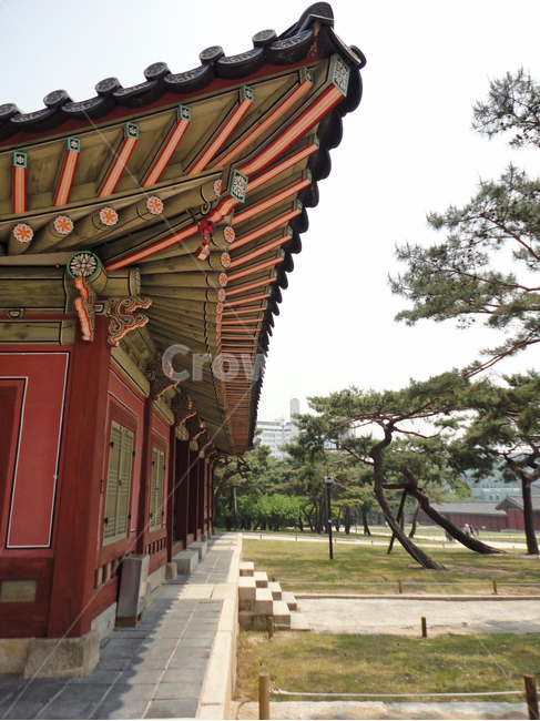 고궁,창경궁,문화유산,단청,전통가옥,한국전통,한국문화