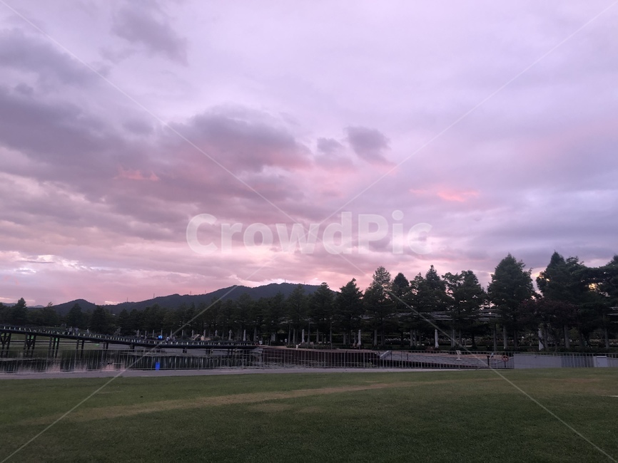 하늘,구름,핑크,핑크구름,순천,핑크하늘,sky,pinksky