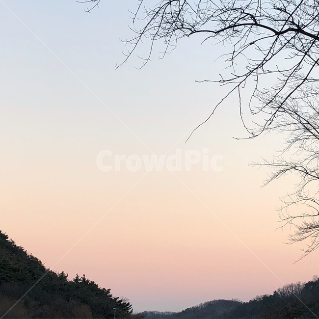산,풍경사진,풍경,색감,나무,감성,감성사진