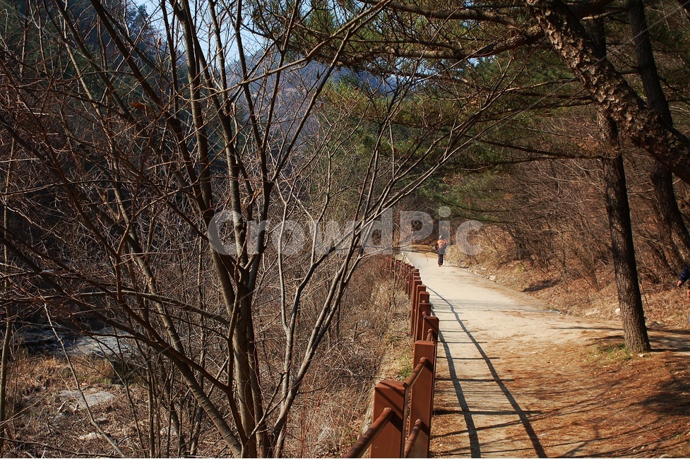 대전,수통골,계곡,풍경,봄,자연,풍경,nature,landscape