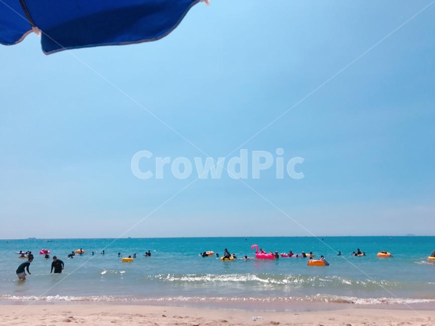 바다,해변,여름,물놀이,대천,국내,피서,대천해수욕장,해변,바다,beach,sea,사람들,대중,군중,other people,crowd