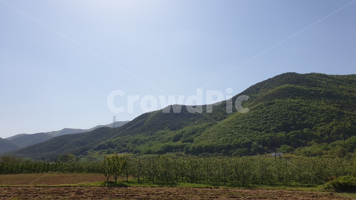 nature,자연,hill,언덕,시골,산,마운틴,풍경,나무,산림,하늘,자연,풍경,nature,landscape,outdoors,옥외