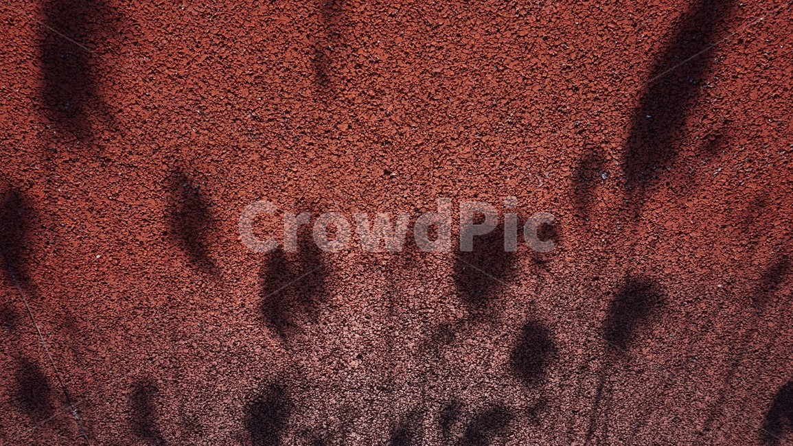 그림자,갈대,바닥,바탕화면,배경화면,background,red,빨강