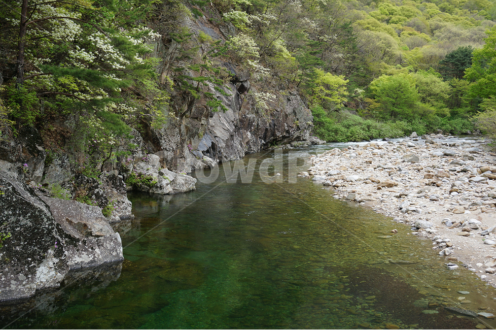 brook,A national park,water play,stream,Summer Vacation,tourism,River,river,Jiri Mountain