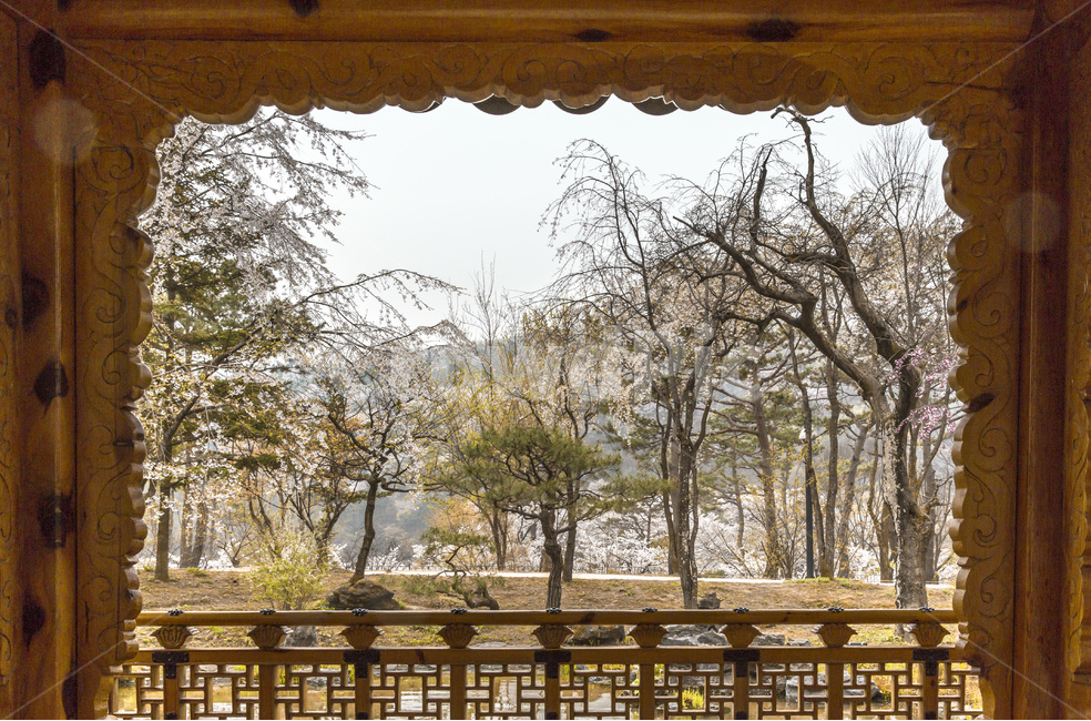 정자,누각,정원,연못,봄,풍경,봄,계절,spring,season,자연,풍경,nature,landscape,한국자연풍경,한국자연경관,korea nature landscape,한국전통,한국문화,korean traditional,korean culture,railing,난간