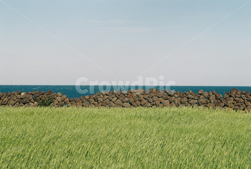 제주도,제주,바다,자연,풍경,nature,landscape,jeju,jejuisland,감성,sensible,색깔,색상,색채,색감colorsense,colorsensitivity,feelingofcolor,해안선,돌담,잔디,들,제주도,jeju,jeju island