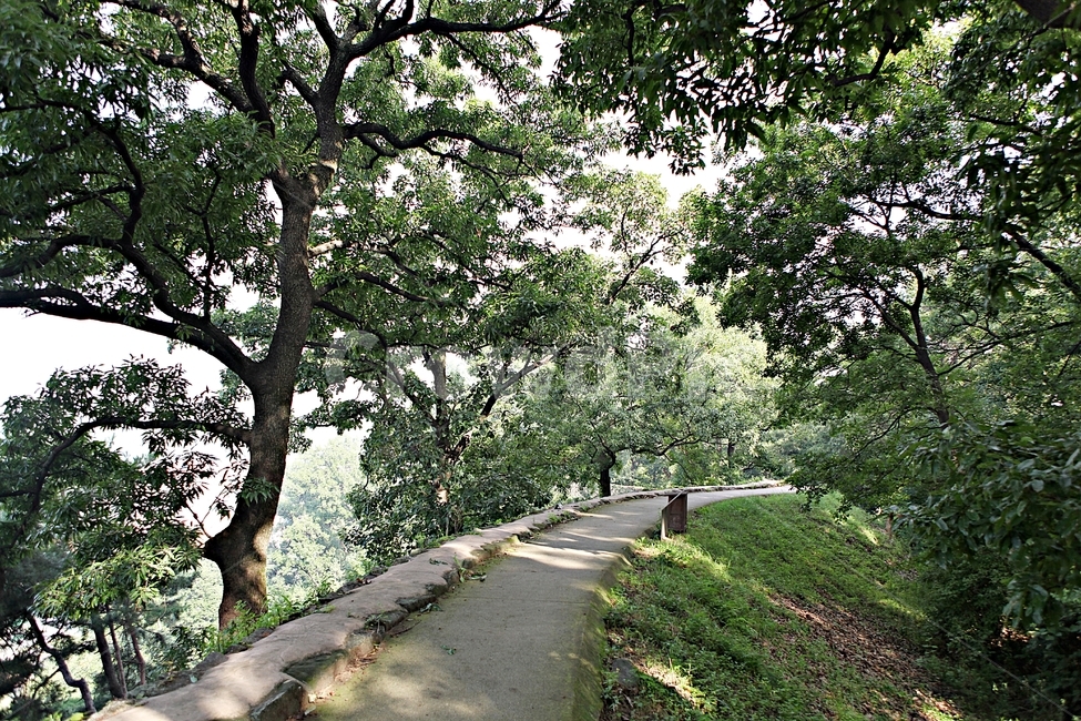 공주산성,성,산성,성곽,길,둘레길,숲,숲길,돌담,담,여름,풍경,흙담,벽,방어벽,나무,식물,유네스코등제