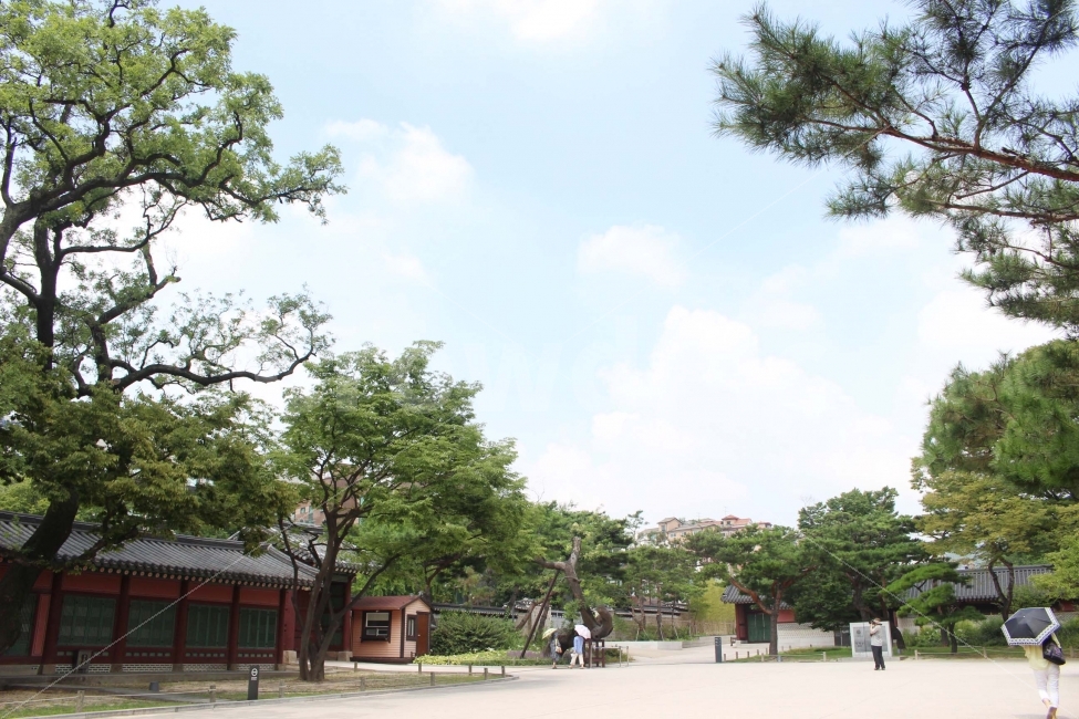 한옥,기와,기와지붕,청동지붕,지붕,건축,집,건물,창덕궁,창덕궁후원,후원,sky,cloud,하늘,구름,나무,식물,자연,야외,공원,정원,풍경,자연,풍경,nature,landscape,랜드마크,landmark,tourist attraction,한국전통,한국문화,korean traditional,korean culture,outdoors,옥외