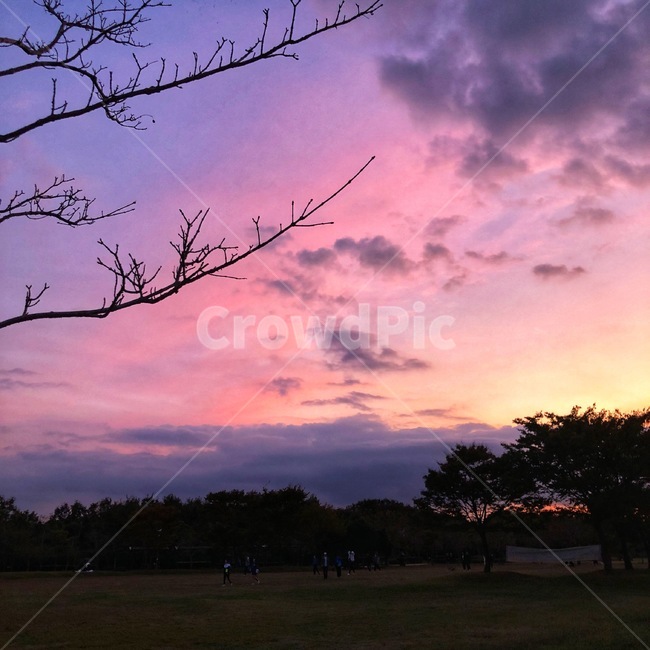nature,자연,outdoors,sky,하늘,공원,landscape,구름,풍경,일몰,황혼,해질녘,분홍하늘,붉은노을,scenery,붉은하늘,분홍색