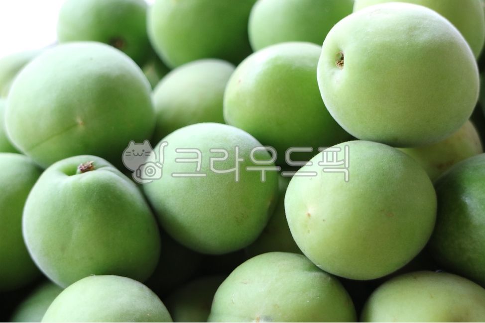청매실,매실,알맹이,크기,청매실청,풋매실