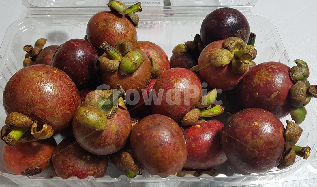 망고스틴,열대과일,과일,열매,음식,과일의여왕,과일,열매,fruit