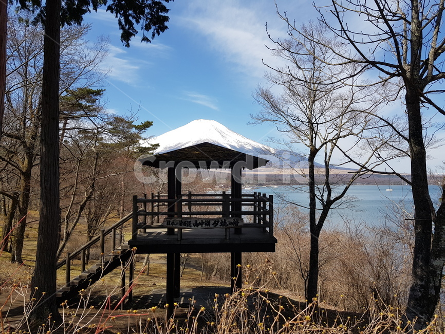 후지산,눈덮힌후지산,후지산겨울,겨울후지산,맑은후지산,후지산호수,일본산,일본,야마나카호수,야마나카호,나무,산,물,호수,겨울산,산중호,겨울호수