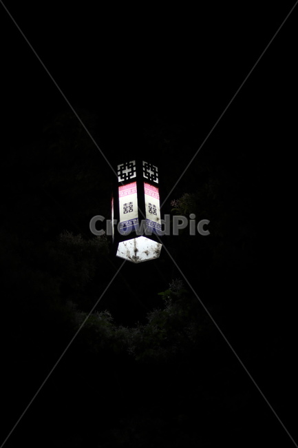 가로등,나무,빛,야경,따스함,야경,밤,풍경,nightscape,night,landscape